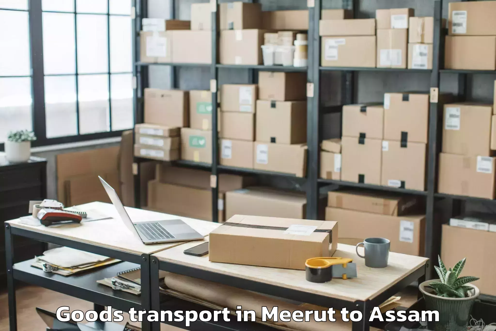 Leading Meerut to Dhing Goods Transport Provider